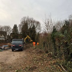 Rodungsarbeiten für Zaunherstellung