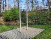 Streifenspiegel im Kurpark Bad Camberg
