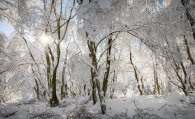 Dreamy winter forest landscape on mount Altkönig in Taunus, Hesse, Germany Dreamy winter forest landscape on mount Altkönig in Taunus, Hesse, Germany
