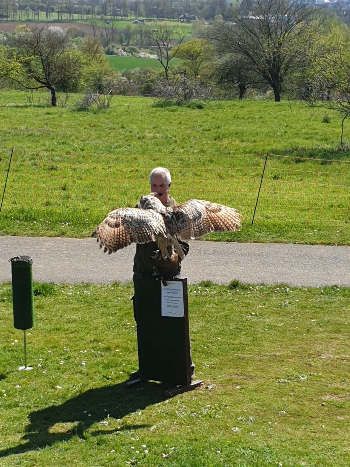 Greifvogelvorführung