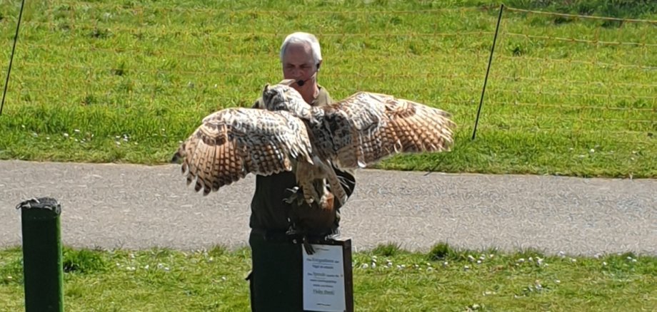 Greifvogelvorführung