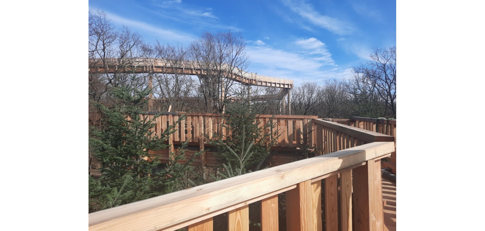 Der neue Baumwipfelweg wird Stadt Bad Camberg