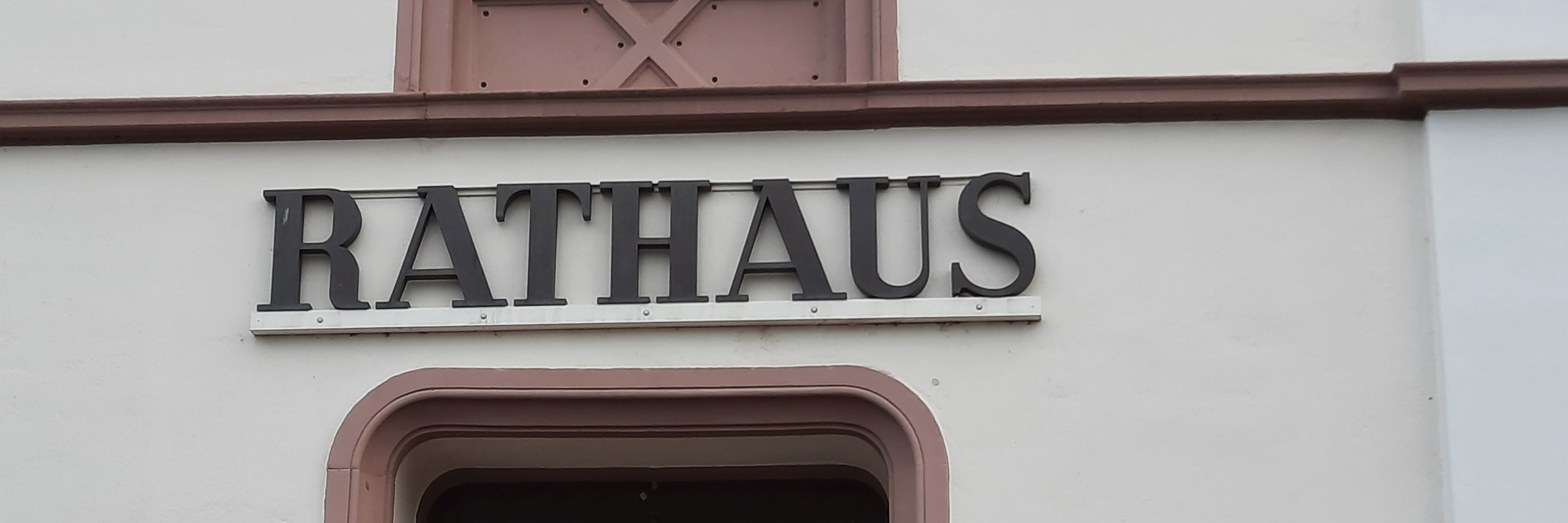 Viele Vierbeiner beim Hundeschwimmen im Freibad Bad Camberg zum