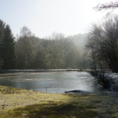 Fischweiher bei Dombach