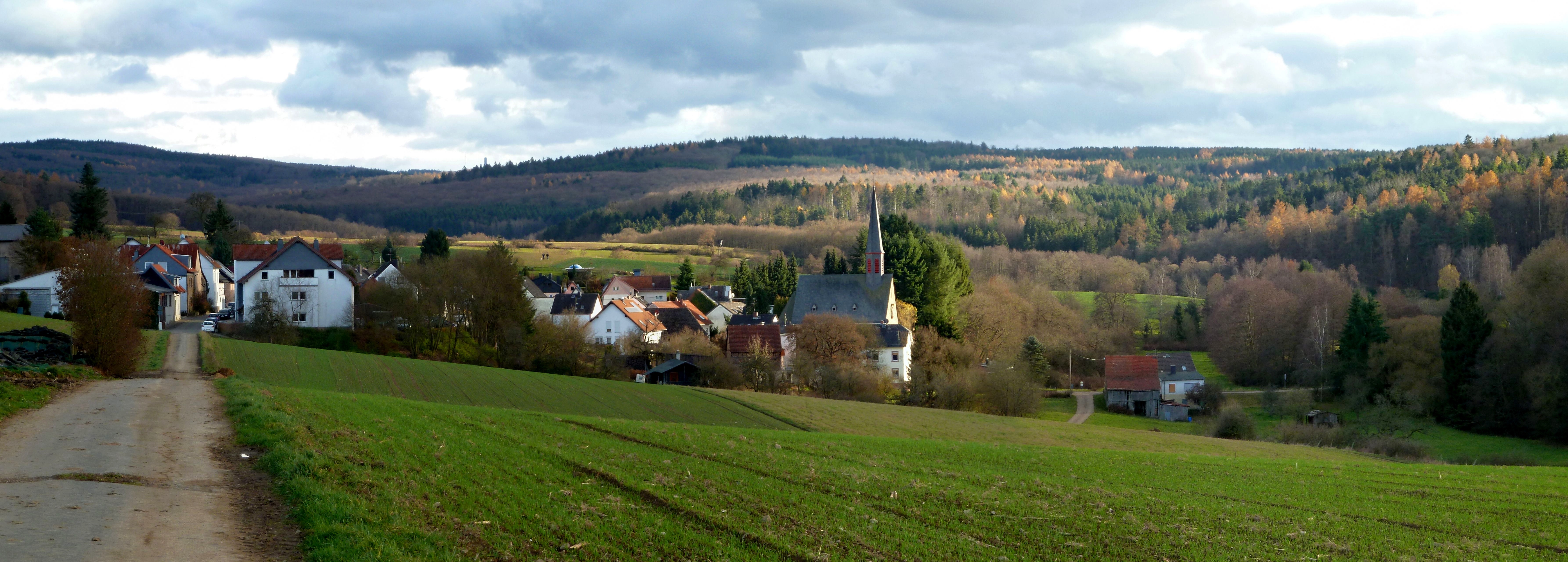 Blick auf Dombach Blick auf Dombach