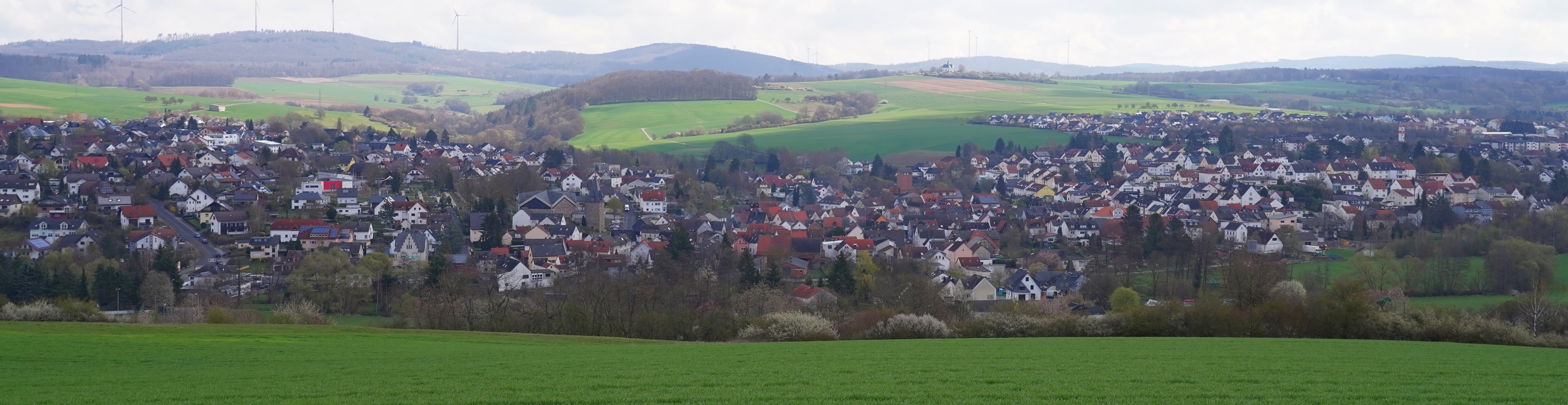 Panoramablick auf Erbach von Westen Panoramablick auf Erbach von Westen
