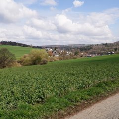 Blick von Westen auf Oberselters