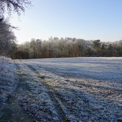 Ruhebank am Waldrand, oberhalb von Schwickershausen