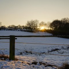 Winterlandschaft bei Schwickershausen